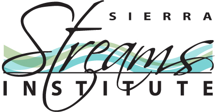SSI Logo (Final) 4
