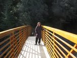TT bridge mar11 3
